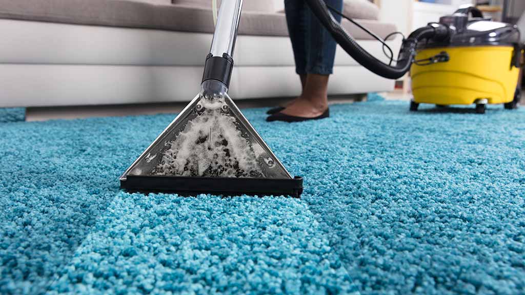 starting carpet cleaning business2